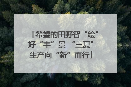 希望的田野智“绘”好“丰”景 “三夏”生产向“新”而行