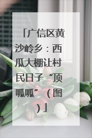 广信区黄沙岭乡：西瓜大棚让村民日子“顶呱呱”（图）