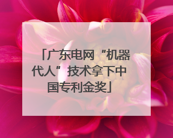 广东电网“机器代人”技术拿下中国专利金奖