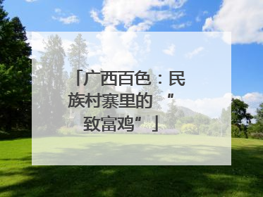 广西百色：民族村寨里的 “致富鸡”