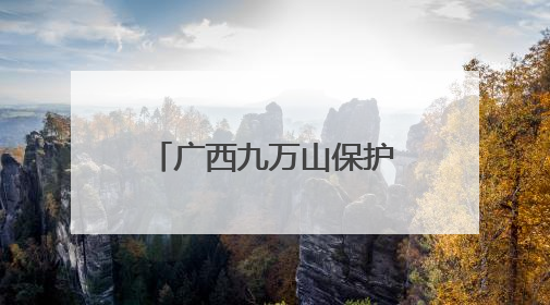 广西九万山保护区同时记录金斑喙凤蝶雌雄个体