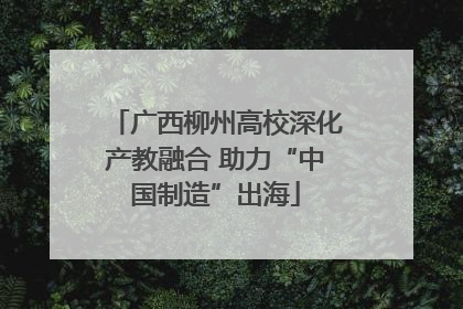 广西柳州高校深化产教融合 助力“中国制造”出海