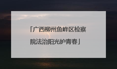 广西柳州鱼峰区检察院法治阳光护青春