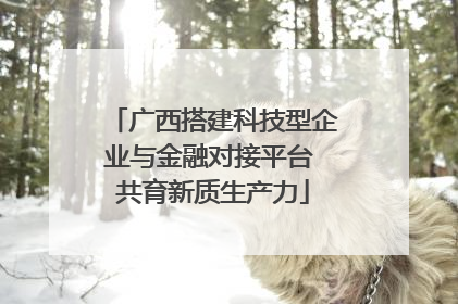 广西搭建科技型企业与金融对接平台 共育新质生产力