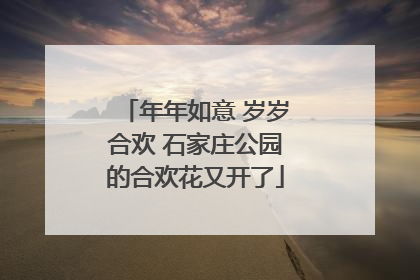 年年如意 岁岁合欢 石家庄公园的合欢花又开了
