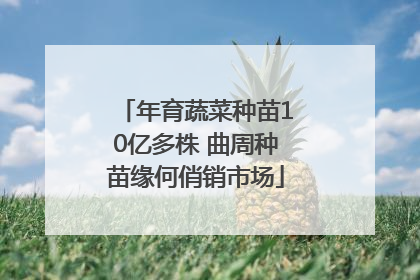 年育蔬菜种苗10亿多株 曲周种苗缘何俏销市场