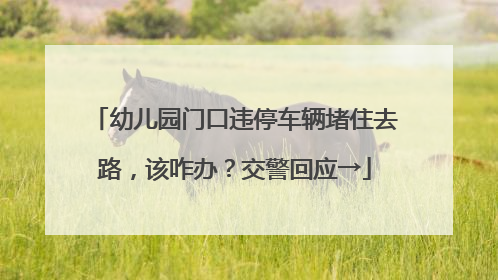 幼儿园门口违停车辆堵住去路，该咋办？交警回应→