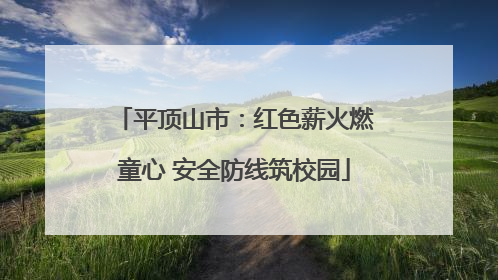 平顶山市：红色薪火燃童心 安全防线筑校园
