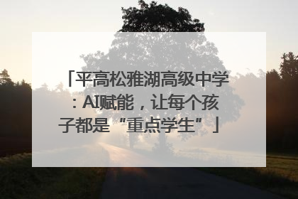 平高松雅湖高级中学：AI赋能，让每个孩子都是“重点学生”