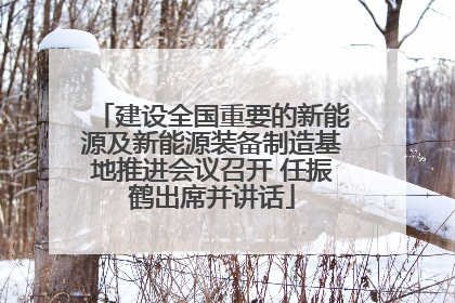 建设全国重要的新能源及新能源装备制造基地推进会议召开 任振鹤出席并讲话