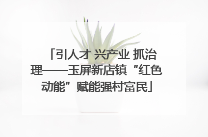 引人才 兴产业 抓治理——玉屏新店镇“红色动能”赋能强村富民