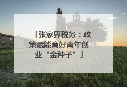 张家界税务：政策赋能育好青年创业“金种子”