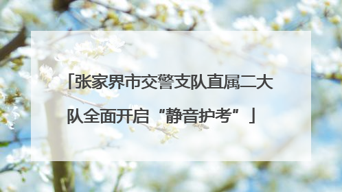 张家界市交警支队直属二大队全面开启“静音护考”
