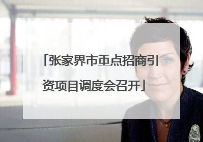 张家界市重点招商引资项目调度会召开