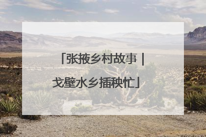 张掖乡村故事｜戈壁水乡插秧忙