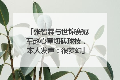 张智霖与世锦赛冠军赵心童切磋球技，本人发声：很梦幻
