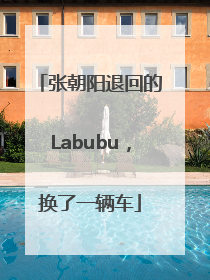 张朝阳退回的Labubu，换了一辆车