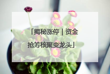 揭秘涨停｜资金抢筹核聚变龙头