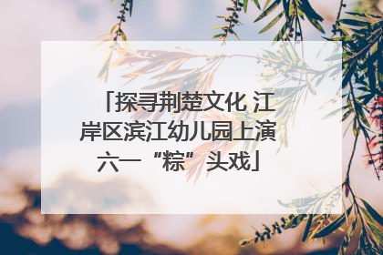 探寻荆楚文化 江岸区滨江幼儿园上演六一“粽”头戏