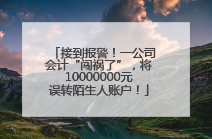 接到报警！一公司会计“闯祸了”，将10000000元误转陌生人账户！