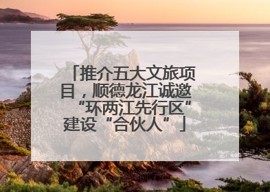 推介五大文旅项目，顺德龙江诚邀“环两江先行区”建设“合伙人”
