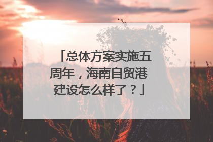 总体方案实施五周年，海南自贸港建设怎么样了？