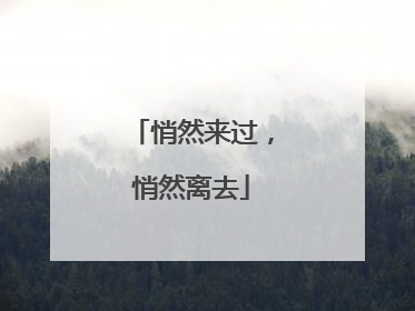 悄然来过，悄然离去