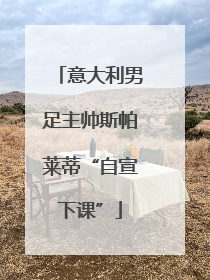 意大利男足主帅斯帕莱蒂“自宣下课”
