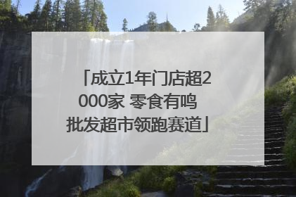 成立1年门店超2000家 零食有鸣批发超市领跑赛道