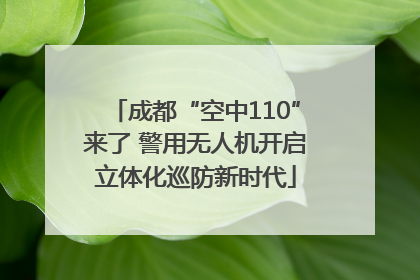 成都“空中110”来了 警用无人机开启立体化巡防新时代