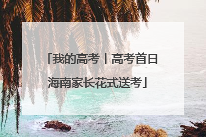 我的高考丨高考首日 海南家长花式送考