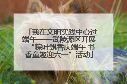 我在文明实践中心过端午——武陵源区开展“粽叶飘香庆端午 书香童趣迎六一”活动