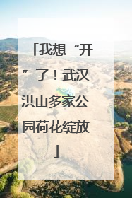 我想“开”了！武汉洪山多家公园荷花绽放