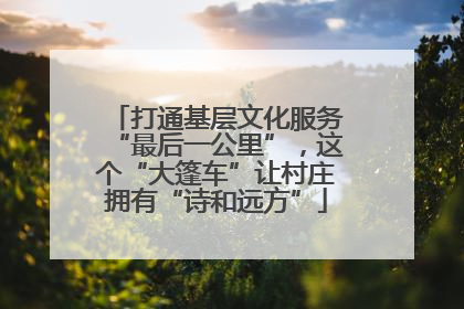 打通基层文化服务“最后一公里”，这个“大篷车”让村庄拥有“诗和远方”