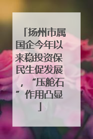 扬州市属国企今年以来稳投资保民生促发展，“压舱石”作用凸显