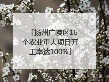 扬州广陵区16个农业重大项目开工率达100%