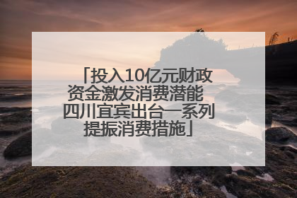 投入10亿元财政资金激发消费潜能 四川宜宾出台一系列提振消费措施