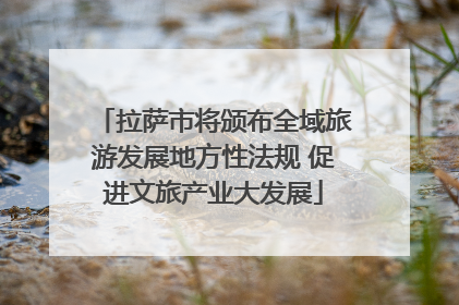 拉萨市将颁布全域旅游发展地方性法规 促进文旅产业大发展