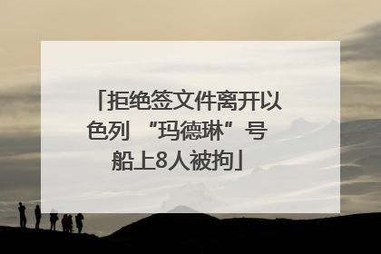 拒绝签文件离开以色列 “玛德琳”号船上8人被拘