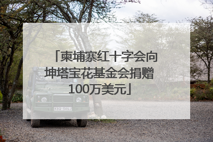 柬埔寨红十字会向坤塔宝花基金会捐赠100万美元