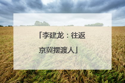 李建龙：往返京冀摆渡人
