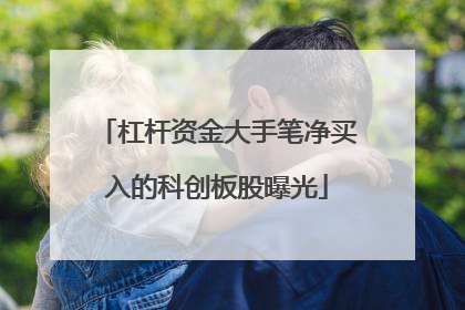 杠杆资金大手笔净买入的科创板股曝光