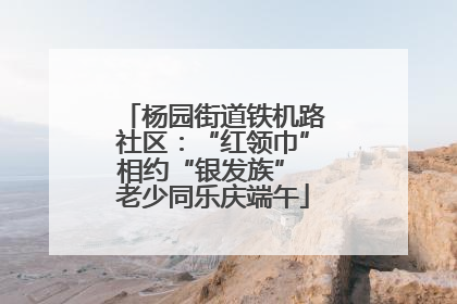 杨园街道铁机路社区：“红领巾”相约“银发族” 老少同乐庆端午