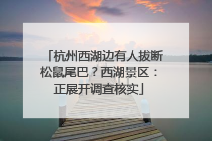 杭州西湖边有人拔断松鼠尾巴？西湖景区：正展开调查核实