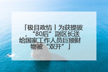 极目政情丨为获提拔，“80后”副区长送给国家工作人员巨额财物被“双开”