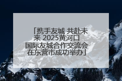 携手友城 共赴未来 2025黄河口国际友城合作交流会在东营市成功举办