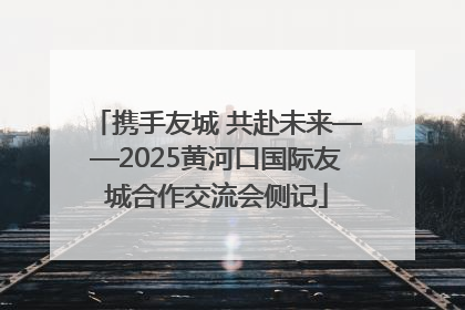 携手友城 共赴未来——2025黄河口国际友城合作交流会侧记