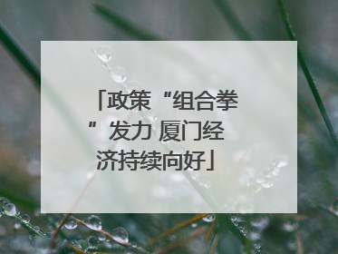 政策“组合拳”发力 厦门经济持续向好