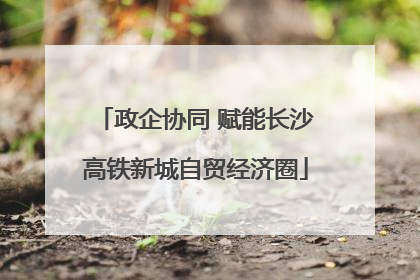 政企协同 赋能长沙高铁新城自贸经济圈