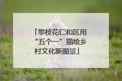 攀枝花仁和区用“五个一”描绘乡村文化新图景